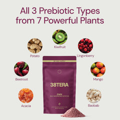 38TERA DMN glass with smoothie shows convenient daily gut-friendly nourishment