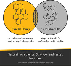 Absorbine Silver Honey application on dog paw demonstrates soothing topical care