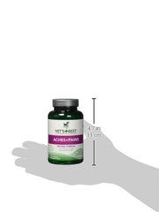 Active senior dog moving easily after the supplement