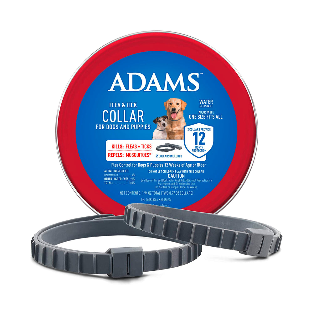 ADAMS flea and tick collar worn by a dog, two-pack protects all year.