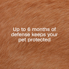 Water-resistant dog collar withstands swimming and rain for continuous defense.