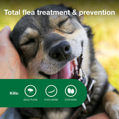 Advantage II Medium Dog 30-day protection keeps pets shielded throughout the month.