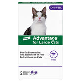 Advantage Large Cat flea drops applied at the base of the skull for easy protection.