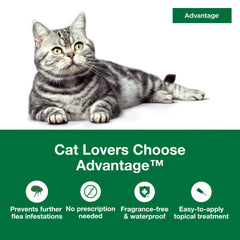 Advantage Large Cat flea drops feature a waterproof formula for daily activity.