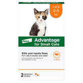 Advantage small cats flea drops applied at skull base for effective placement.