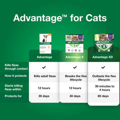 Advantage small cats flea drops demonstrate quick action within 12 hours.