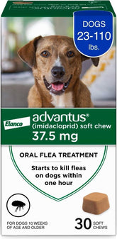 Advantus dog fast-acting chews bottle demonstrates quick flea relief for dogs.