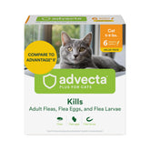 Advecta Plus bottle front view for reliable flea protection on cats.