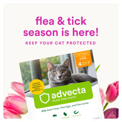 Advecta Plus fast-acting flea kill within 12 hours for cats.