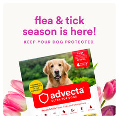 Advecta Ultra packaging front view highlighting waterproof formula.