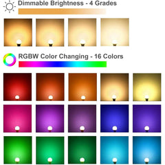 AFINSEA remote control and memory function enables synchronized lighting scenes.