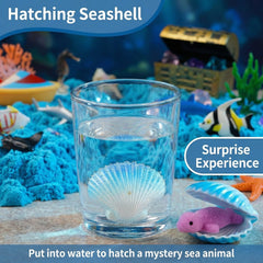 AGENTLAN Ocean Sensory Bin hatching seashell sparks curiosity and fine motor skills.