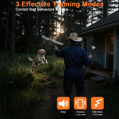 Aikko waterproof receiver for IPX7-rated dog collar during outdoor adventures.