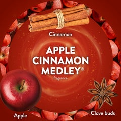 Air Wick Apple Cinnamon Medley refill ideal for kitchen mornings and cozy vibes.