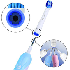 Alayna Oral-B 500 replacement head in crisp, clean design