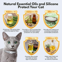 Allyeah adjustable cat collar for kittens and adults ensures a secure, comfortable fit.