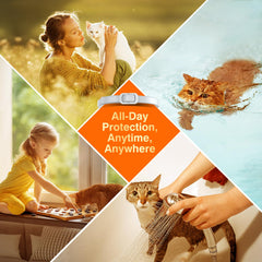 Allyeah waterproof collar for cats withstands rain and active play.