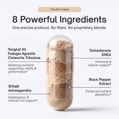 Alpha Tribe Test Protocol packaging box on desk suggesting convenient daily regimen