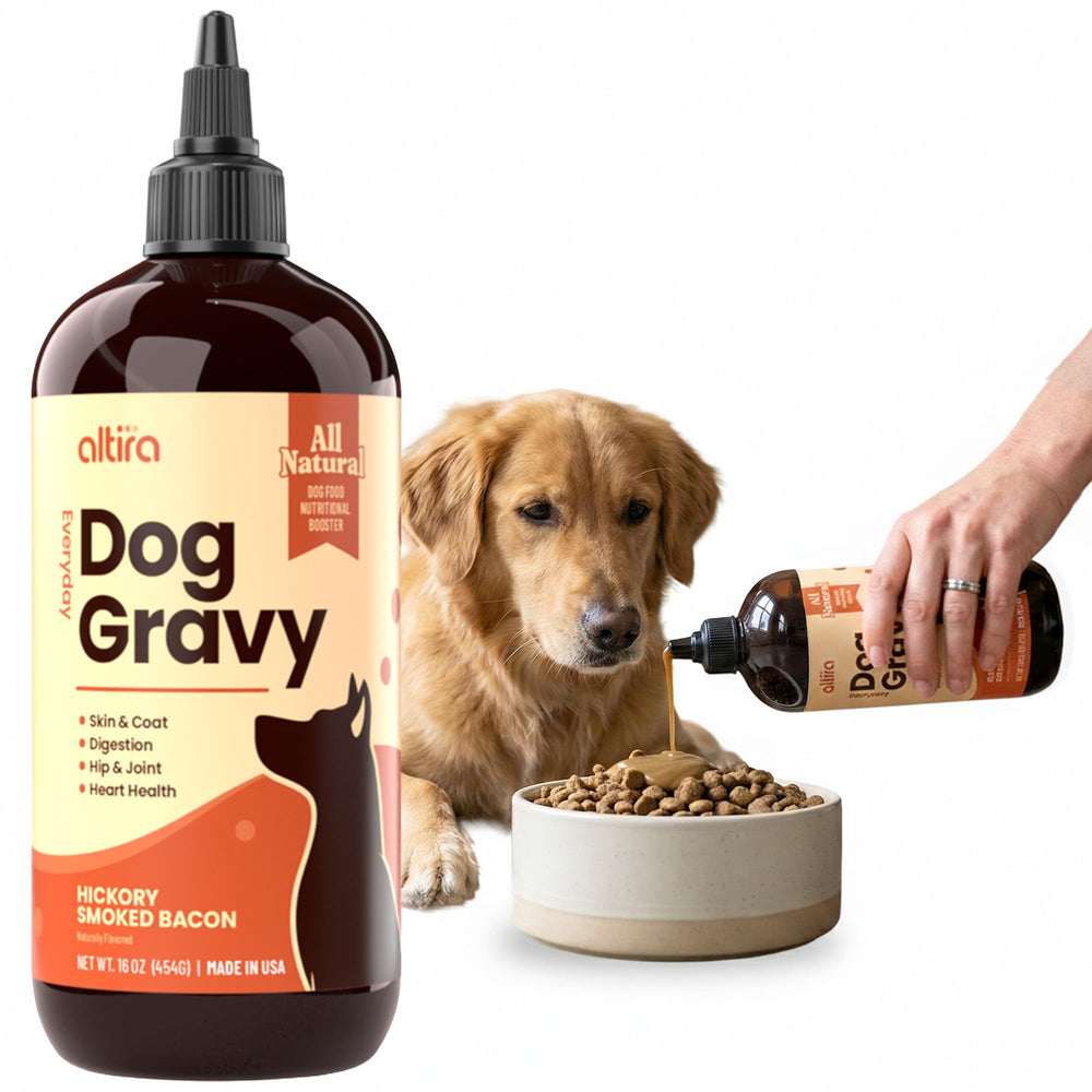 Altira Everyday Dog Gravy bottle pouring over kibble may entice meals