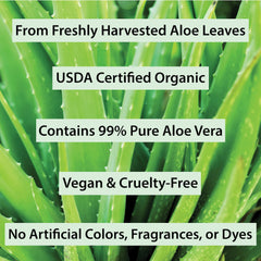 Amara Beauty Aloe Vera Gel applied to dry skin for fast absorption and silky feel