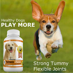 Amazing Nutritionals dog turmeric chew dosage guide shown on label.
