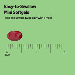 Amazon Basics two softgels per day visual emphasizes convenient dosing
