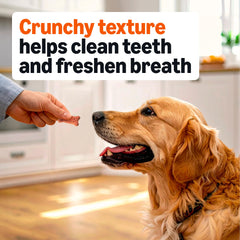 Amazon Basics Crunchy Dog Biscuits five flavors displayed for variety and curiosity.