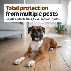 Amazon Basics flea-tick-mosquito-formula targets pests during outdoor playtime.