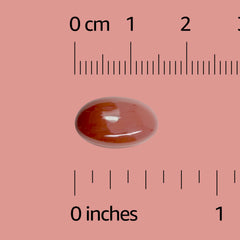 Closeup of Amazon Basics CoQ10 softgels capsules highlighting energy production