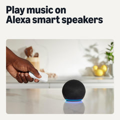 Amazon Basics smart dimmer switch and remote connected through Echo hub.