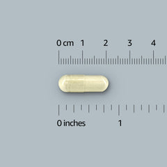 Amazon Elements Collagen Complex daily-use bottle with 90 capsules for a three-month supply.
