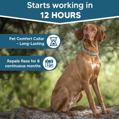 AMDEIUR flea collar natural ingredients label, plant-based care.