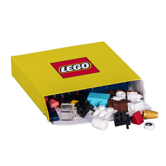 ameet lego recreate time machine challenge sparks history travel builds