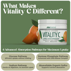 American Nutriceuticals Vitamin C Powder scoop represents precise, sugar-free serving for daily use.