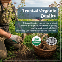 Close-up of American Standard Organic Valerian capsules showing vegan, gluten-free, non-GMO suitability.