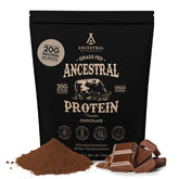 Ancestral Supplements grass-fed protein powder chocolate bottle ready for daily protein boost
