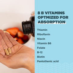 Packaging of Ancient Nutrition Vitamin B Complex on a shelf