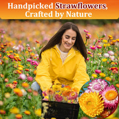 Andekas cupcake toppers dried flowers brighten pastries with edible elegance.