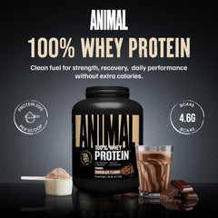 Animal 100% Whey scoop beside the tub for quick protein boosts.