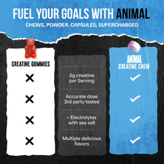 Animal Creatine Chews after training for recovery and hydration.