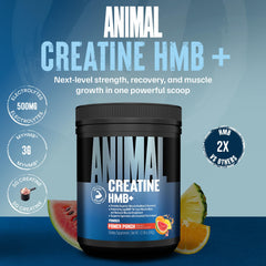 Animal Creatine HMB Powder mixed in glass, smooth texture