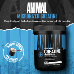 Animal Creatine Monohydrate powder scoop illustrating convenient 5g serving.