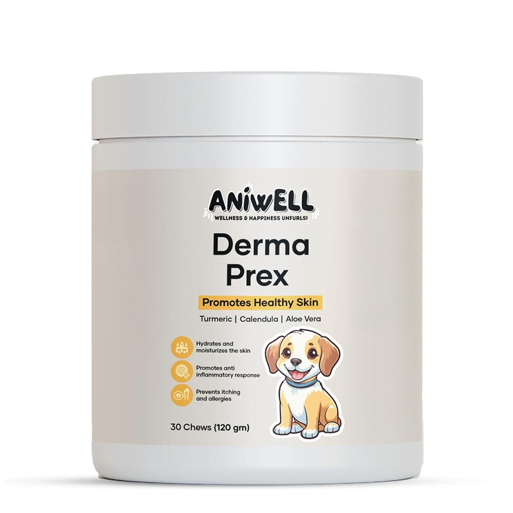 Aniwell DermaPrex bottle with anchovy oil supports skin health and may ease itching