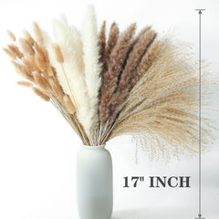ANPROOR boho vase setup showcasing natural tones and easy maintenance.