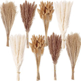 ANPROOR dried flower bouquet pampas grass, versatile centerpiece for stylish home decor.