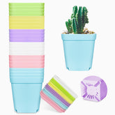 Anyumocz 24-pack square plastic pots for seedlings, featuring drainage holes and bright color options.