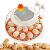 APDOE egg incubator 360 view enables non-intrusive monitoring of developing eggs