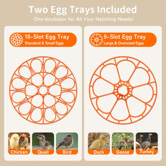 APDOE two-tray setup supports small and mid-size eggs