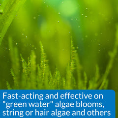 Tank after treatment with API ALGAEFIX showing clearer water and glass.