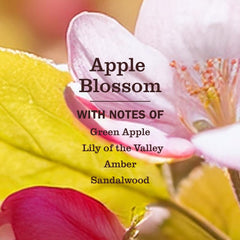 Mrs. Meyer's Apple Blossom scent shown while applying on a sink.